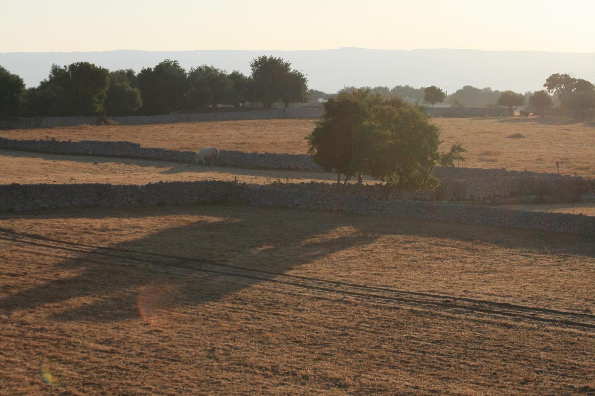 Valata Minusa Country Resort Cannizzara Εξωτερικό φωτογραφία